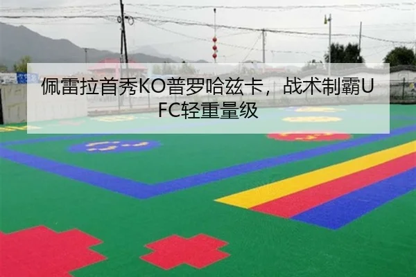 佩雷拉首秀KO普罗哈兹卡，战术制霸UFC轻重量级