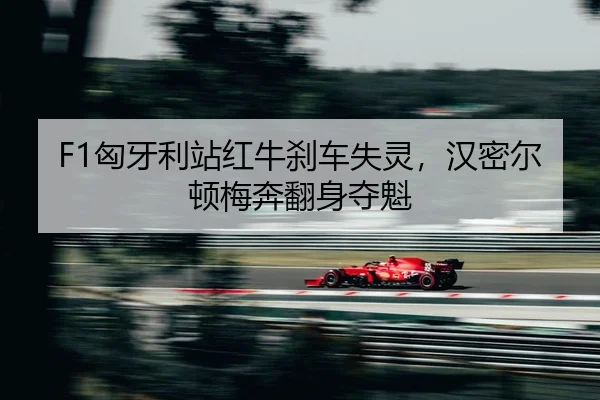 xiong-ya-li-zhan-hong-niu-sha-che-shi-ling-han-mi-er-dun-mei-ben-fan-shen-duo-kui-2-174.jpg